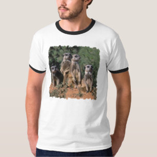 T-SHIRT PORTRAIT DE FAMILLE DE MEERKAT