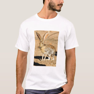 T-shirt Portrait de lièvre antélope, Arizona