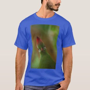 T-shirt Portrait d'oiseau Fischers Turaco