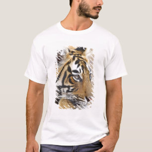 T-shirt Portrait du tigre du Bengale royal, Ranthambhor