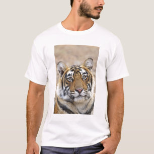 T-shirt Portrait du tigre royal du Bengale, Ranthambhor
