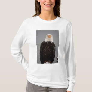 T-shirt Portrait d'un pygargue à tête blanche dans la neig
