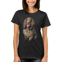 Portrait Esquisse Artistique de Boykin Spaniel