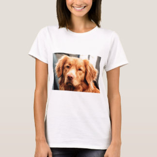 T-shirt Poseur irlandais