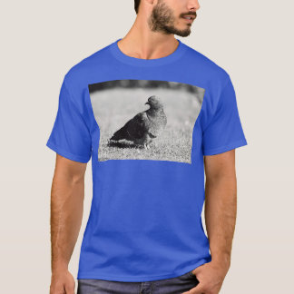 T-shirt Posing 1