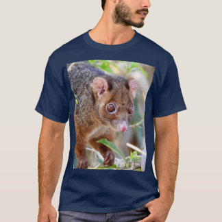 T-shirt Possum at Arkarra Lagoons gift