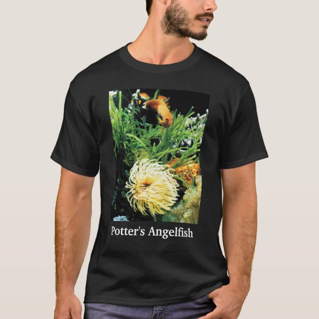 T-shirt Potter's Angelfish (Devant)