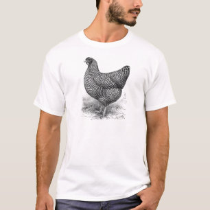 T-shirt poule barrée de roche de Plymouth