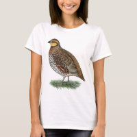 Poule de cailles