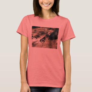 T-shirt Poule et chemise de poussins de bébé