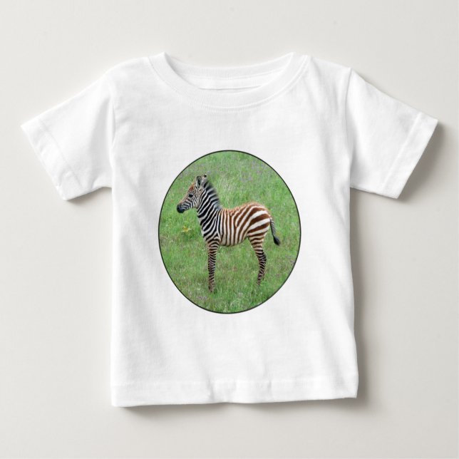 T-shirt Pour Bébé Afrique Ngorongoro Baby Zebra (Devant)