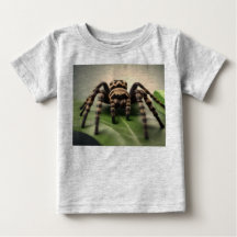Araignée Tarantule Australienne Poilue Sur Une Feu