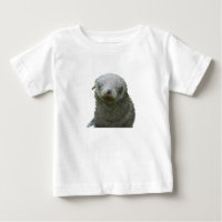 Bébé phoque mignon