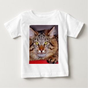 T-shirt Pour Bébé Chat du Maine-Coone