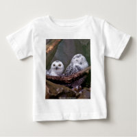 Chouette Harfang Couple Art Bois Faune Sauvage