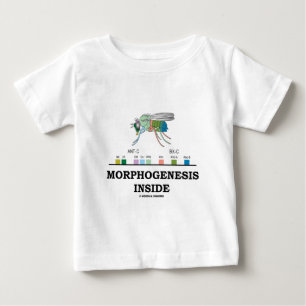 T-shirt Pour Bébé Intérieur de morphogénèse (gènes de drosophile