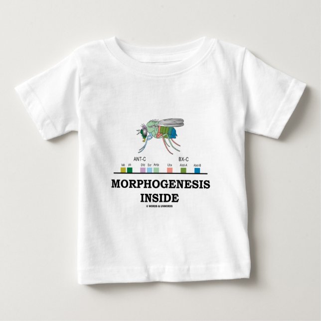 T-shirt Pour Bébé Intérieur de morphogénèse (gènes de drosophile de (Devant)
