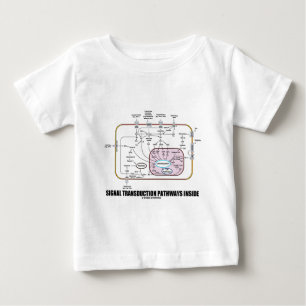 T-shirt Pour Bébé Intérieur de voies de transduction de signal