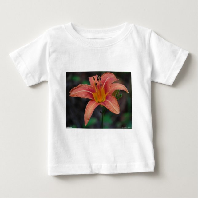 T-shirt Pour Bébé Lovely Tawny Daylily Vêtements et cadeaux (Devant)