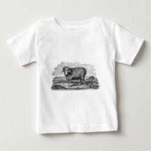 T-shirt Pour Bébé Modèle vintage d'agneau de RAM de moutons de