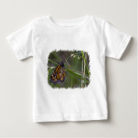 Papillon monarque dans l'herbe