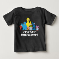 Sesame Street Pals | C'est mon anniversaire
