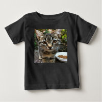 Tabby Cat Kitten Faire contact visuel