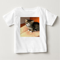 Tabby Cat Kitten Portrait pour animaux