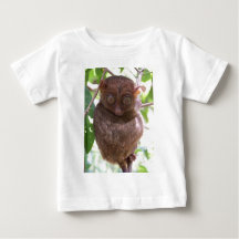 Tarsier philippin