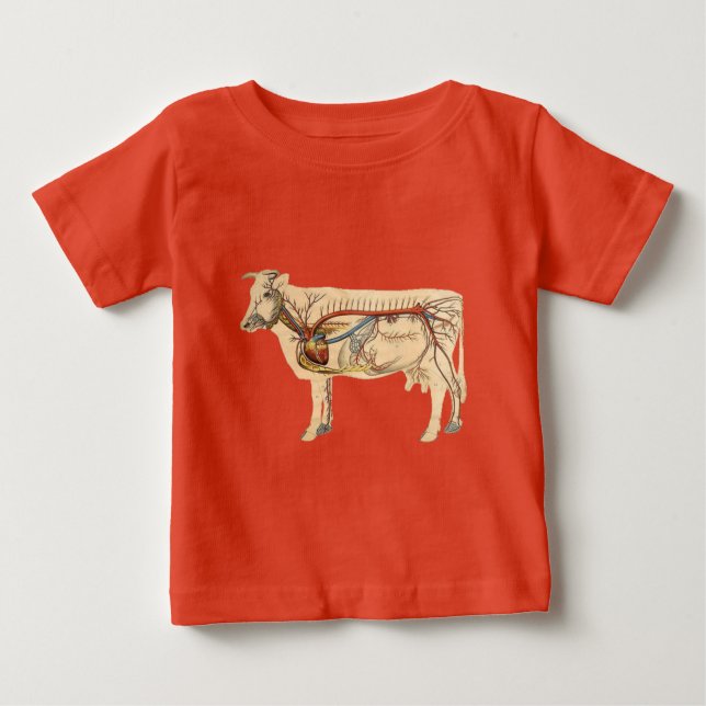 T-shirt Pour Bébé Vache mûre anatomique (Devant)