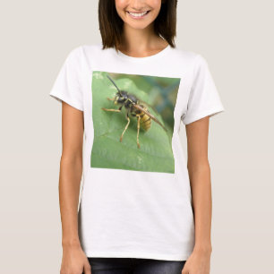 T-shirt pour femmes à mouches volantes