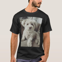 T-Shirt POUR GARÇON BRUCE
