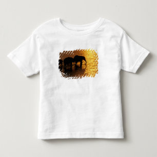 T-shirt Pour Les Tous Petits Afrique, Botswana, Delta de l'Okavango. Africain