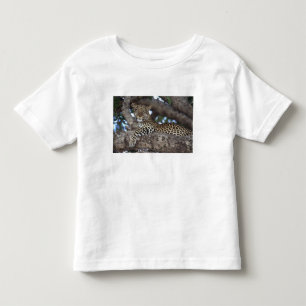 T-shirt Pour Les Tous Petits Afrique. Kenya. Masai Mara. Léopard (Panthera