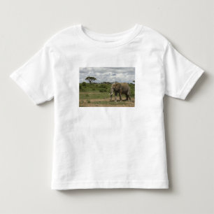 T-shirt Pour Les Tous Petits Afrique, Kenya, Parc national d'Amboseli, éléphant