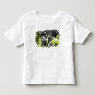 T-shirt Pour Les Tous Petits Afrique Ouganda, Bwindi