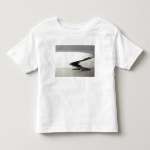 T-shirt Pour Les Tous Petits Amérique du Sud, Brésil, Brasilia. Intérieur