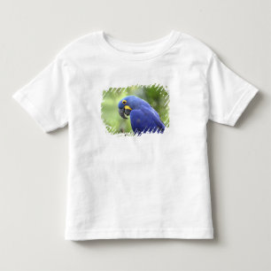 T-shirt Pour Les Tous Petits Amérique du Sud, Brésil, Pantanal