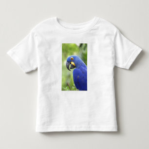 T-shirt Pour Les Tous Petits Amérique du Sud, Brésil, Pantanal