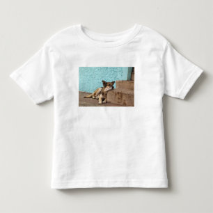 T-shirt Pour Les Tous Petits Amérique du Sud, Chili, Valparaiso. Allemand