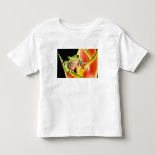 T-shirt Pour Les Tous Petits Amérique du Sud, Equateur, Amazonie. Vert clair