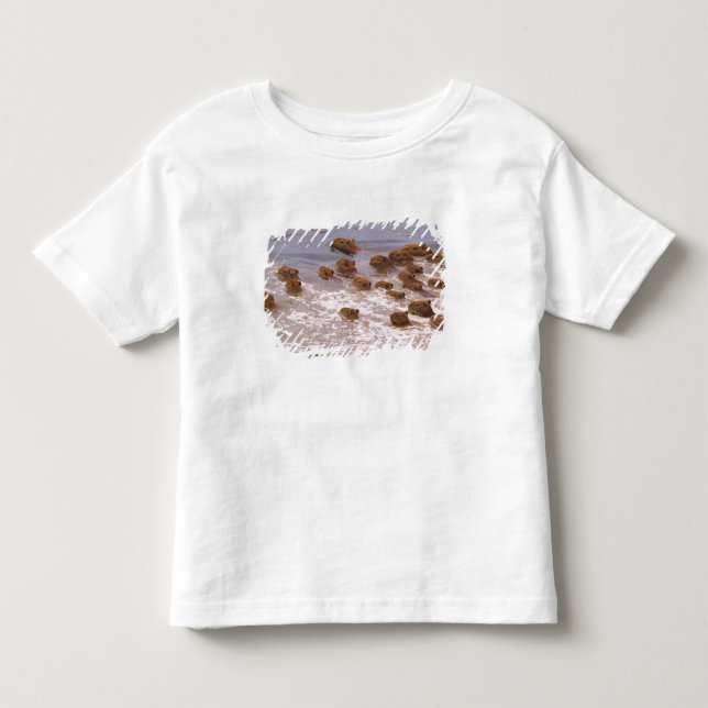 T-shirt Pour Les Tous Petits Amérique du Sud, Venezuela, Llano. (Devant)