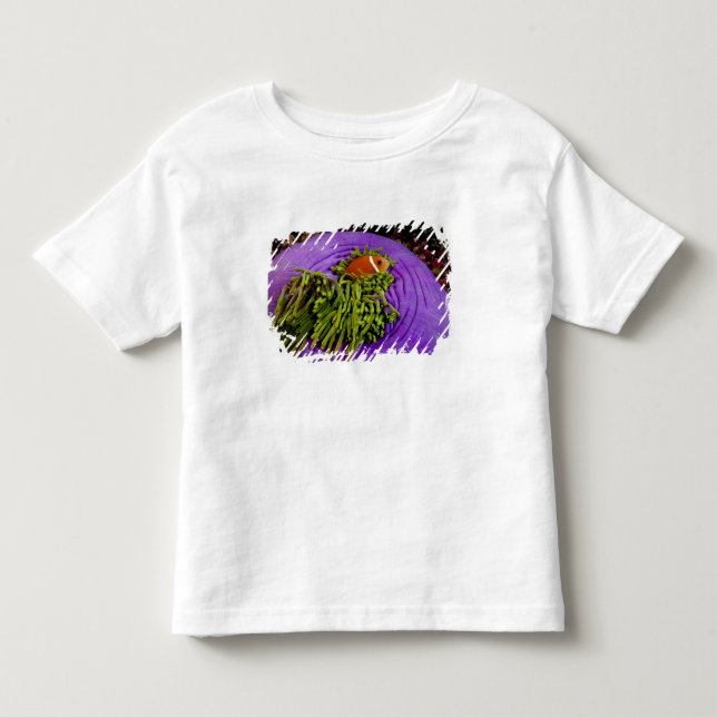 T-shirt Pour Les Tous Petits Anemonefish et grande anémone (Devant)