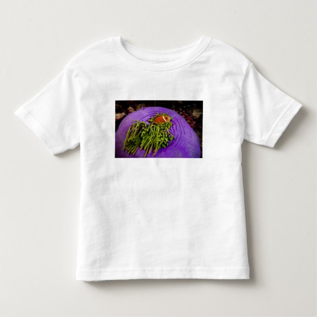 T-shirt Pour Les Tous Petits Anemonefish et grande anémone (Devant)