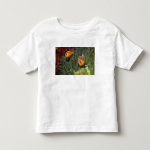 T-shirt Pour Les Tous Petits Anemonefish rose dans l'actinie de Magnificant