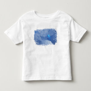 T-shirt Pour Les Tous Petits Antarctique, île de Ross, cap Evans, grotte de nei