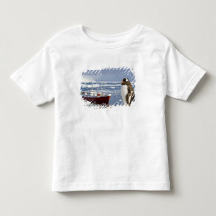 T-shirt Pour Les Tous Petits Antarctique, Neko Cove (Port). Pingouin Gentoo
