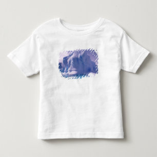T-shirt Pour Les Tous Petits Antarctique. Paysages glaciaires de l'Antarctique