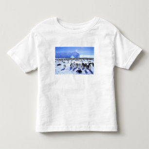 T-shirt Pour Les Tous Petits Antarctique, péninsule Antarctique, mer de Weddell