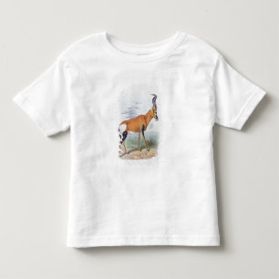 T-shirt Pour Les Tous Petits Antilope, "du livre des antilopes",